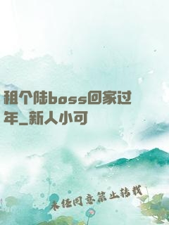 租个陆boss回家过年