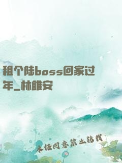租个陆boss回家过年