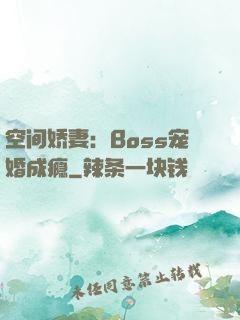 空间娇妻：Boss宠婚成瘾