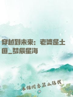 穿越到未来：老婆是土匪