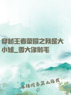 穿越王者荣耀之我是大小姐