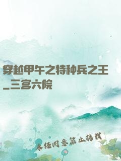 穿越甲午之特种兵之王