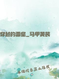 穿越的雷皇