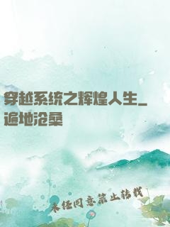 穿越系统之辉煌人生