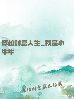 穿越财富人生