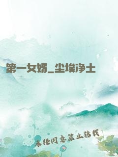 第一女婿