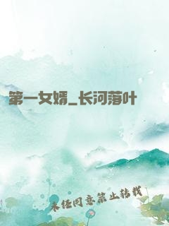 第一女婿
