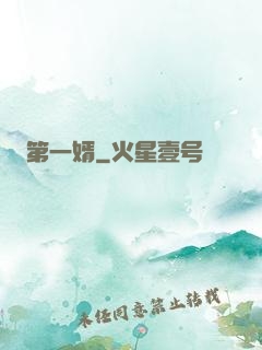 第一婿
