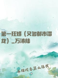 第一狂婿（又名都市潜龙）