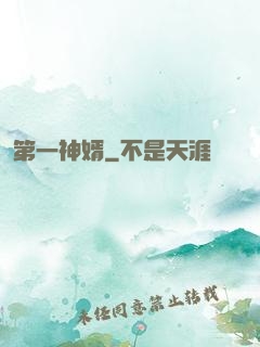 第一神婿