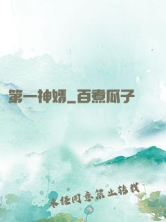 第一神婿