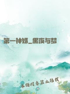 第一神婿