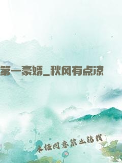 第一豪婿