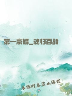 第一豪婿