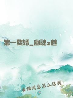 第一赘婿