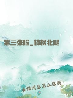 第三张脸