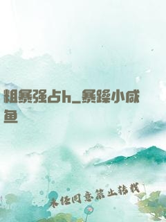 粗暴强占h
