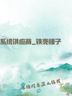 系统供应商