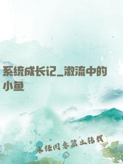系统成长记