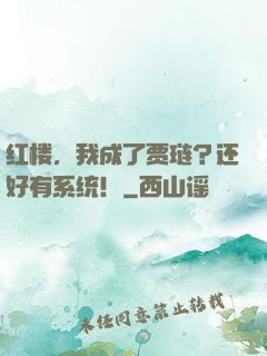 红楼，我成了贾琏？还好有系统！
