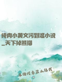 纯肉小黄文污到湿小说