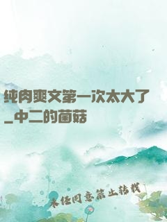 纯肉爽文第一次太大了