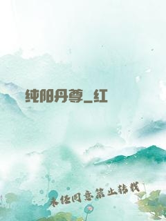 纯阳丹尊