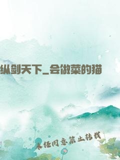 纵剑天下