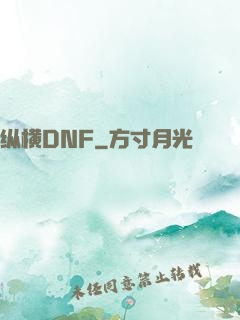 纵横DNF