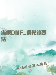纵横DNF