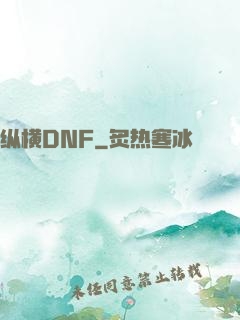 纵横DNF