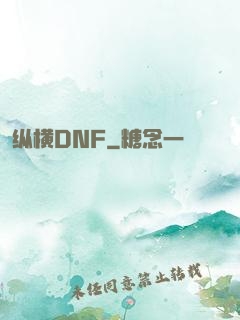 纵横DNF