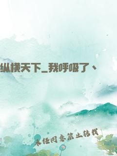 纵横天下