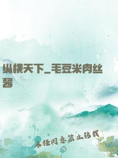 纵横天下