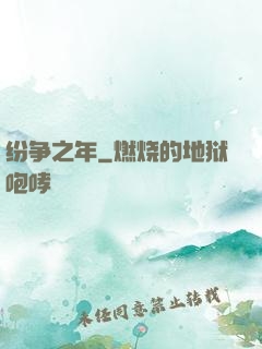 纷争之年