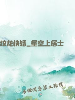 纹龙快婿