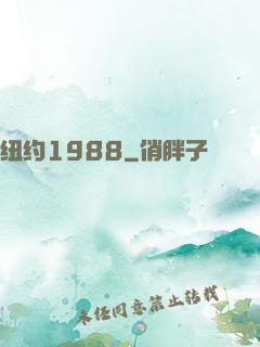 纽约1988
