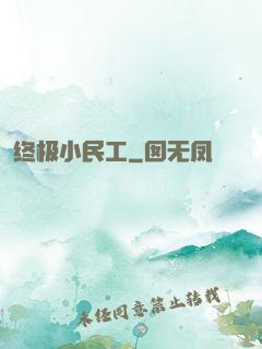 终极小民工