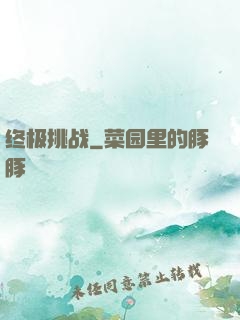 终极挑战