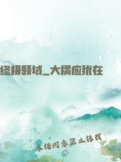 终极领域