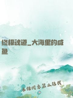 终极魂道