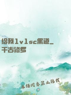 给我1v1sc黑道