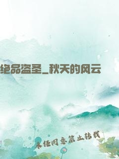 绝品盗圣