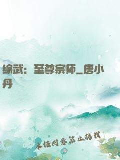 综武：至尊宗师