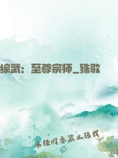 综武：至尊宗师