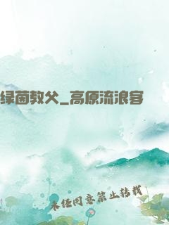 绿茵教父