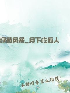 绿茵风暴