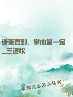 缘来妻到，掌心第一宠