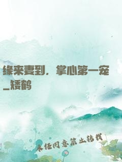 缘来妻到，掌心第一宠