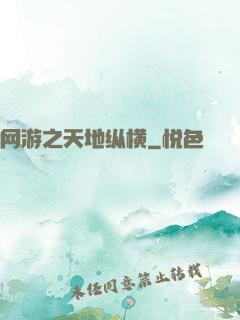 网游之天地纵横